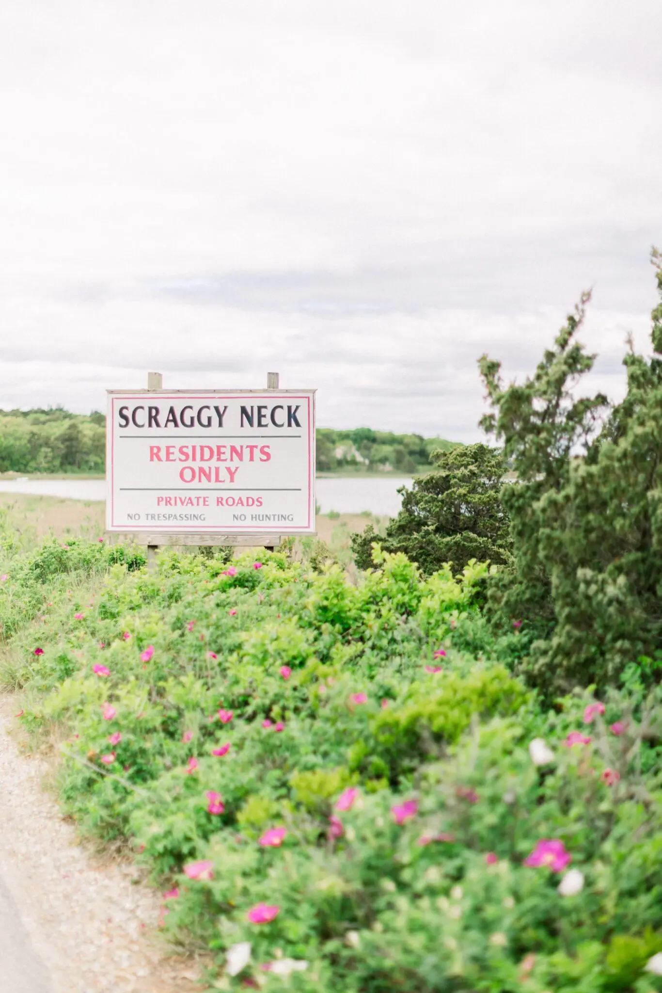 Kelly Dillon Wedding Photographer KellyDillonPhotographyPrivateEstatePocassetCapeCodWeddingPhotogapherCapeCodWeddingPhotography6 scaled