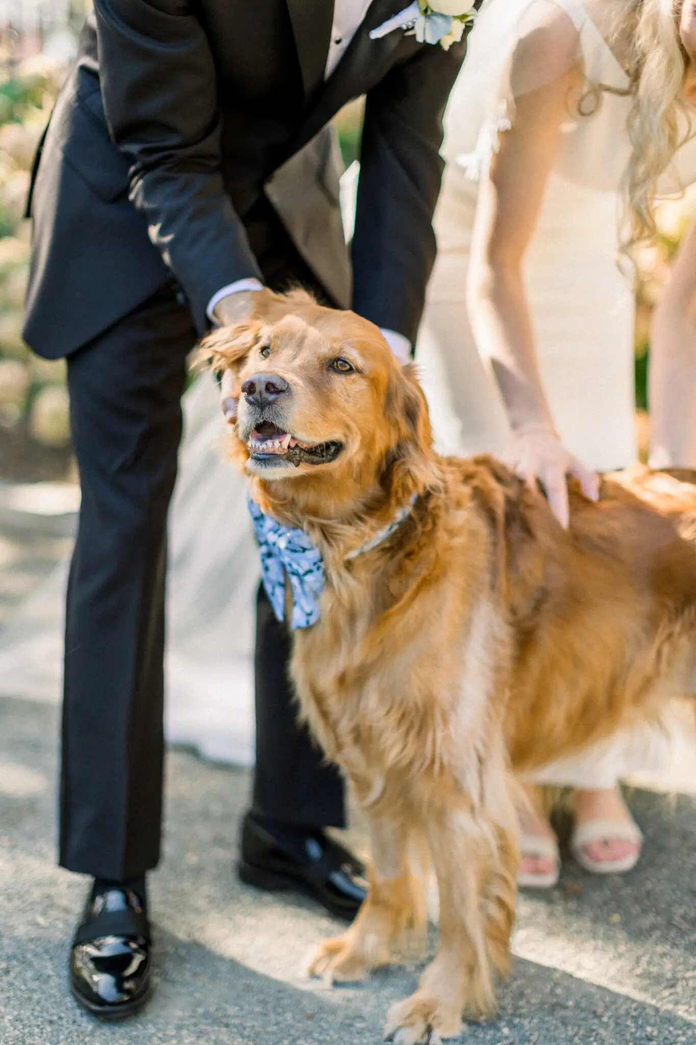 Hannah & Steven Boston Wedding 29 Kelly Dillon Wedding Photographer KellyDillonPhotographyBostonWeddingCapeCodWeddingPhotographerCapeCodWeddingPhotography29 scaled