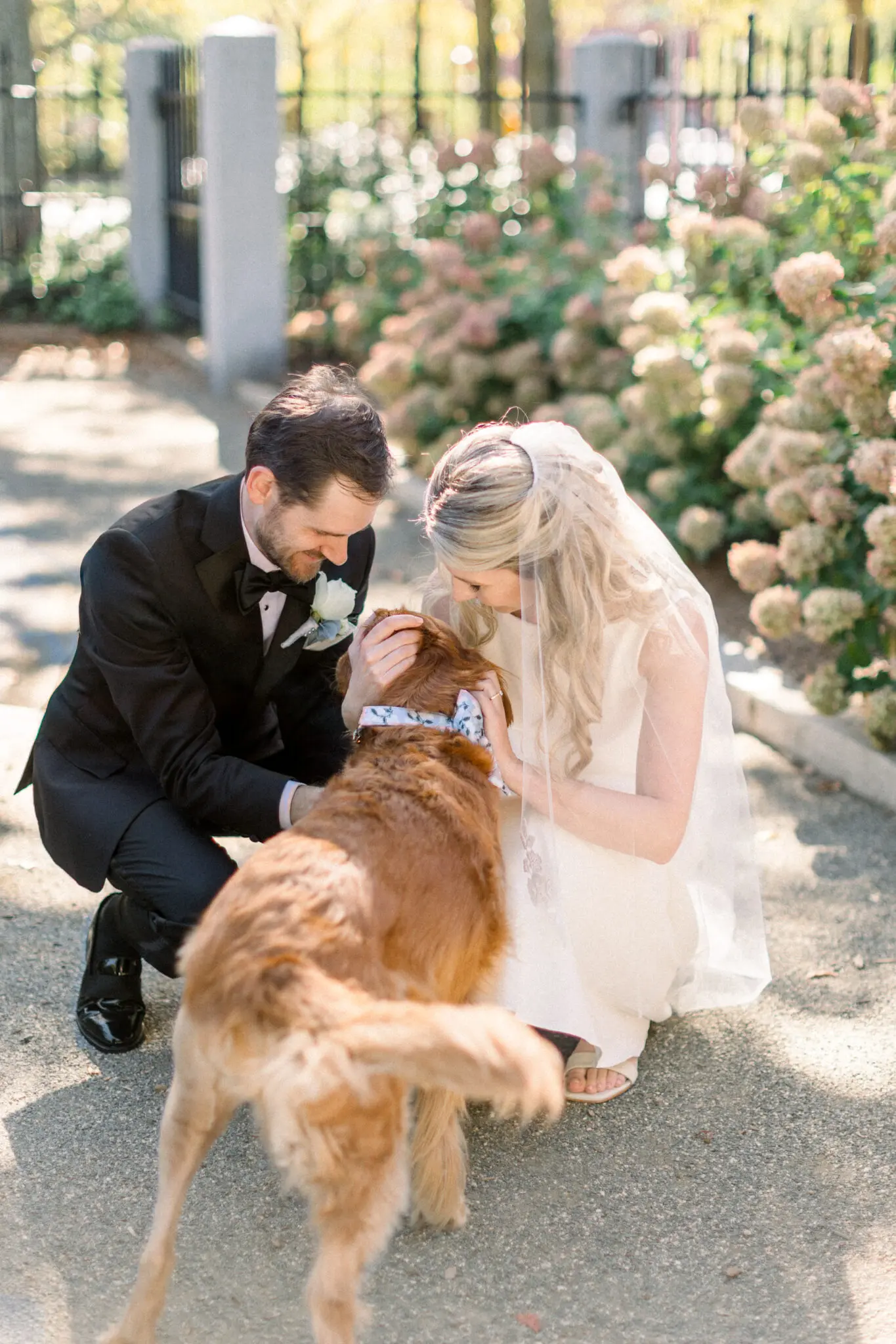 Hannah & Steven Boston Wedding 31 Kelly Dillon Wedding Photographer KellyDillonPhotographyBostonWeddingCapeCodWeddingPhotographerCapeCodWeddingPhotography31 scaled