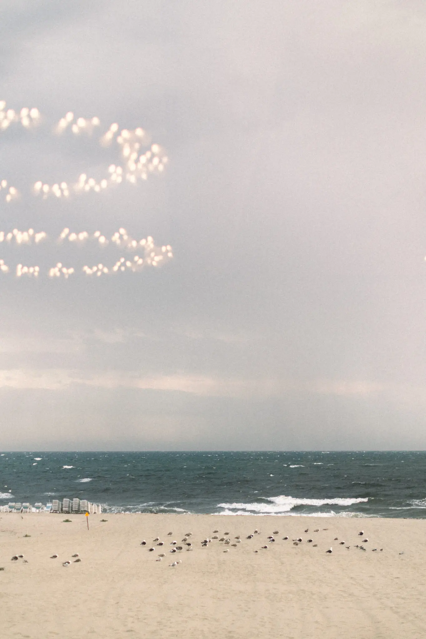 Kelly Dillon Wedding Photographer KellyDillonPhotographyWychmereTheDuneWeddingPhotographyCapeCodWeddingPhotographerCapeCodWeddingPhotography122 scaled