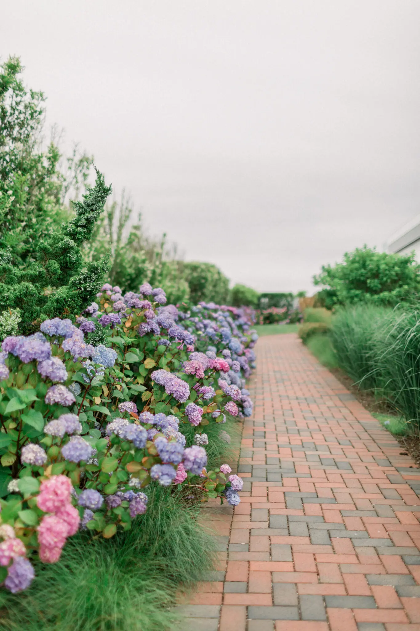 Kelly Dillon Wedding Photographer KellyDillonPhotographyWychmereTheDuneWeddingPhotographyCapeCodWeddingPhotographerCapeCodWeddingPhotography36 scaled