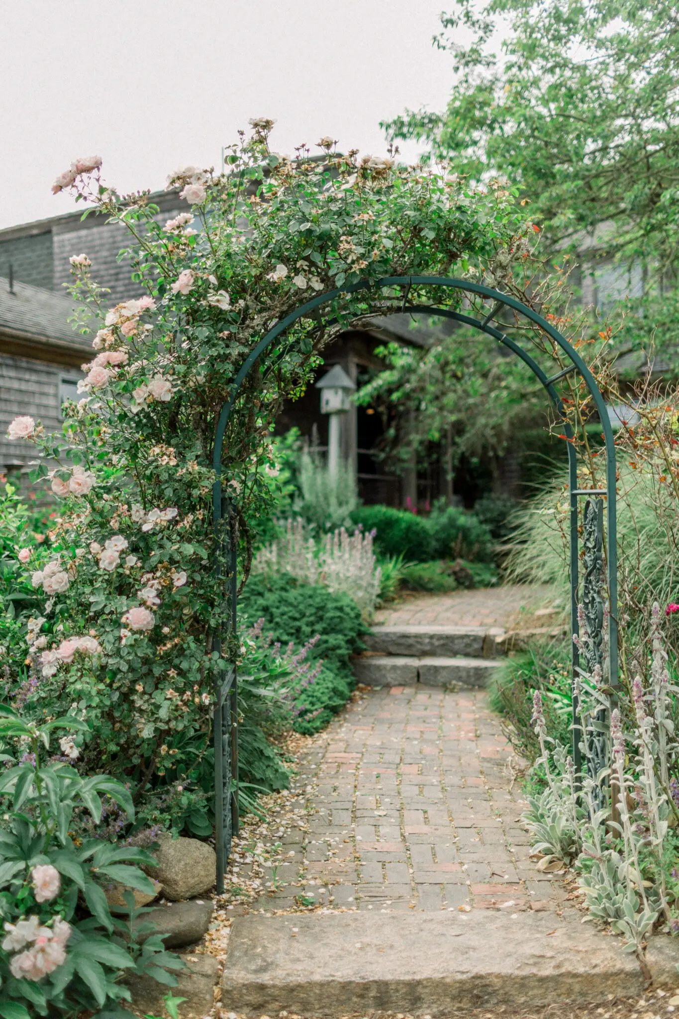 Audrey & Cristiano Beach Plum Inn Martha's Vineyard Wedding 4 Kelly Dillon Wedding Photographer KellyDillonPhotographyMarthasVineardBeachPlumInnWeddingPhotographyCapeCodWeddingPhotographerCapeCodWeddingPhotography5 scaled