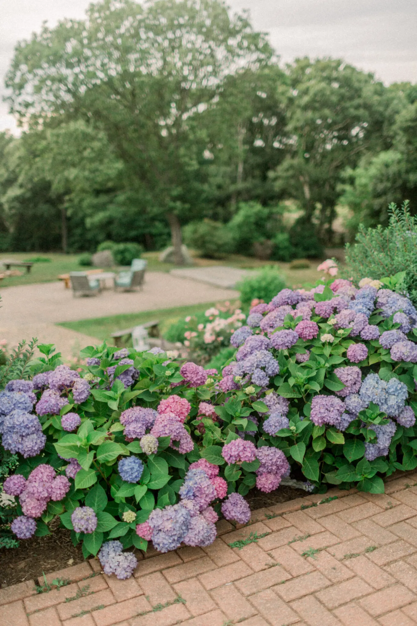 Audrey & Cristiano Beach Plum Inn Martha's Vineyard Wedding 66 Kelly Dillon Wedding Photographer KellyDillonPhotographyMarthasVineardBeachPlumInnWeddingPhotographyCapeCodWeddingPhotographerCapeCodWeddingPhotography66 scaled