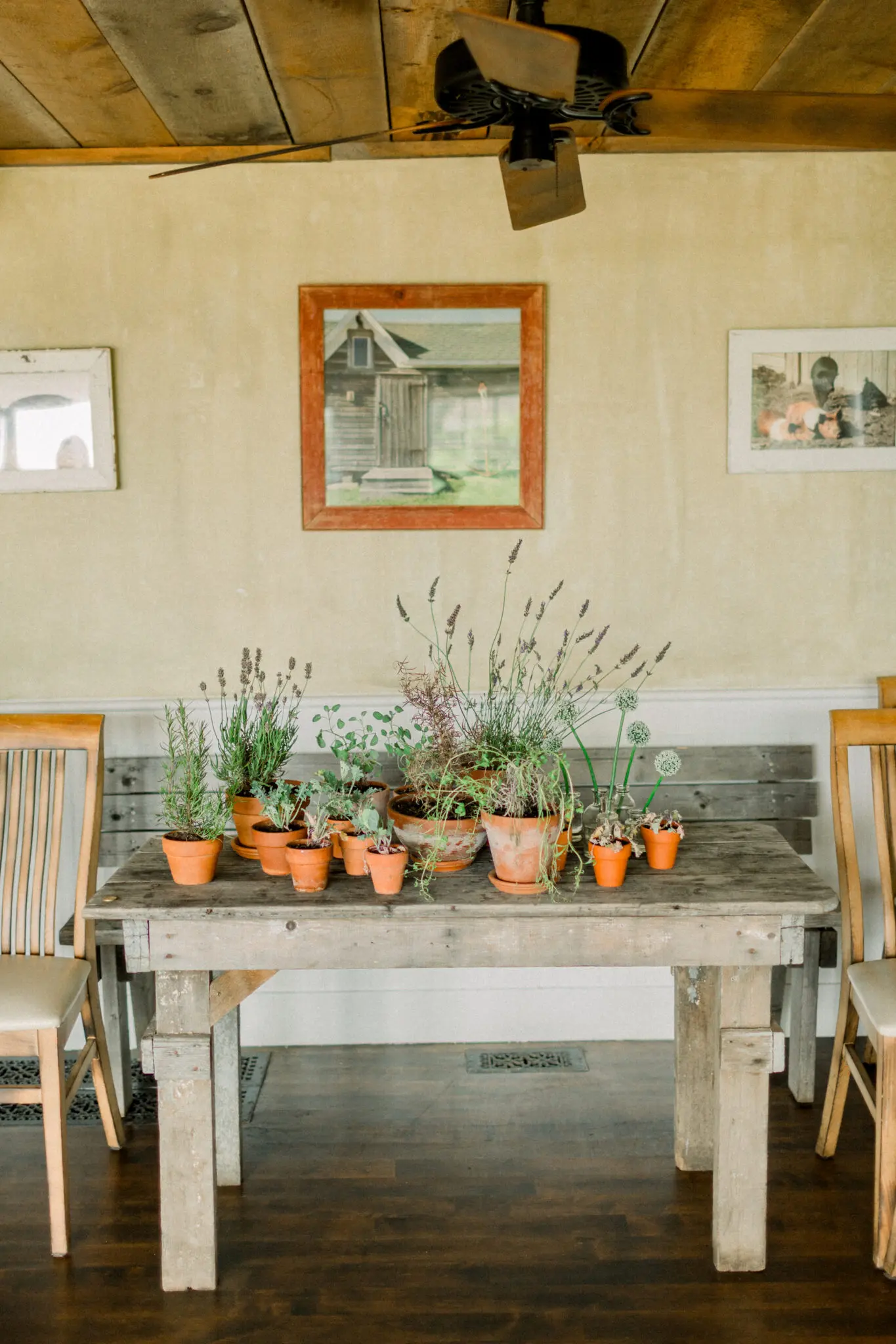 Audrey & Cristiano Beach Plum Inn Martha's Vineyard Wedding 68 Kelly Dillon Wedding Photographer KellyDillonPhotographyMarthasVineardBeachPlumInnWeddingPhotographyCapeCodWeddingPhotographerCapeCodWeddingPhotography68 scaled