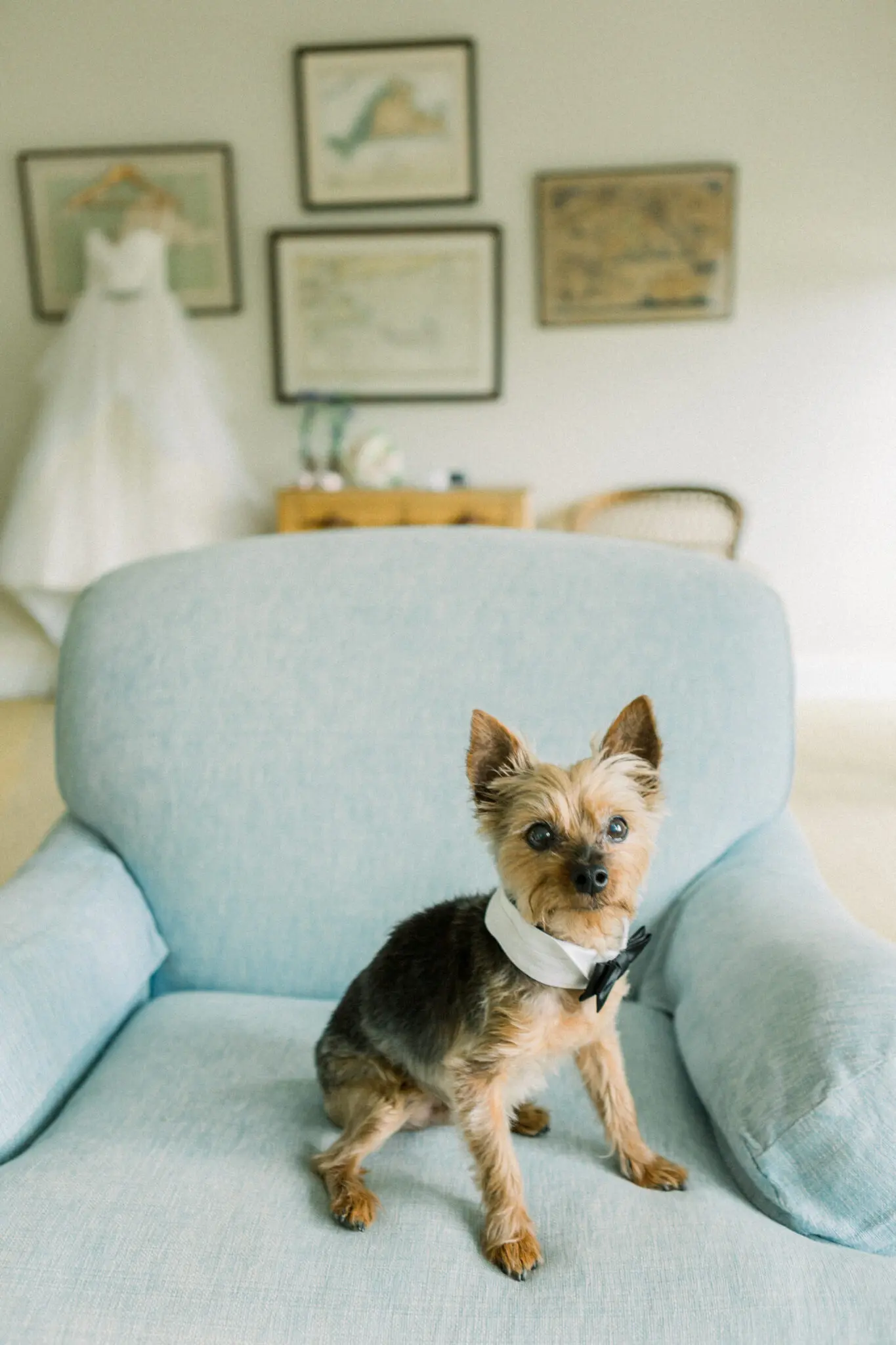 Audrey & Cristiano Beach Plum Inn Martha's Vineyard Wedding 7 Kelly Dillon Wedding Photographer KellyDillonPhotographyMarthasVineardBeachPlumInnWeddingPhotographyCapeCodWeddingPhotographerCapeCodWeddingPhotography8 scaled