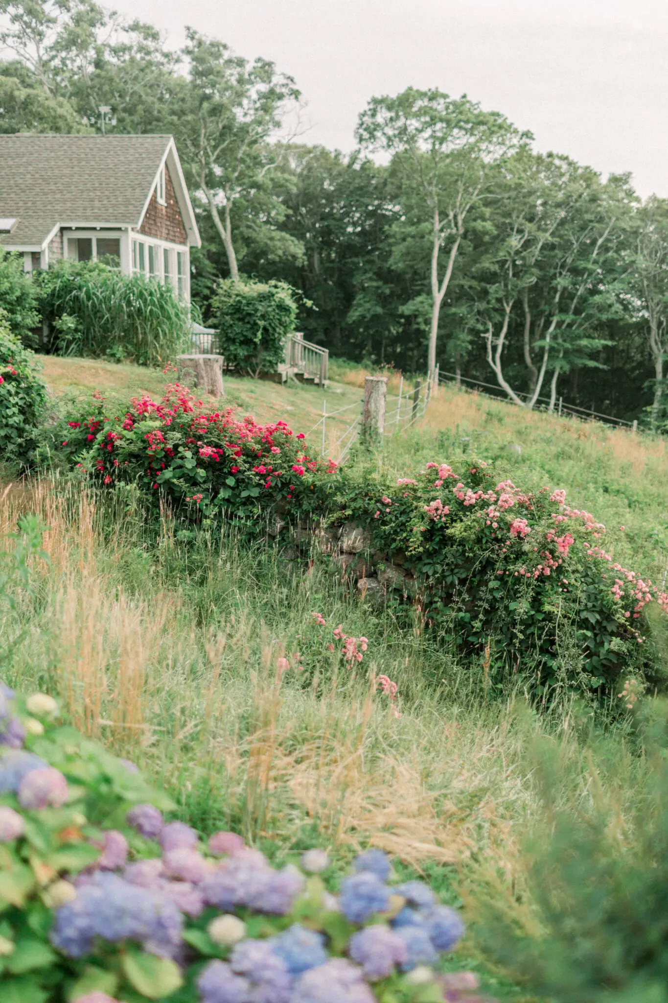 Audrey & Cristiano Beach Plum Inn Martha's Vineyard Wedding 80 Kelly Dillon Wedding Photographer KellyDillonPhotographyMarthasVineardBeachPlumInnWeddingPhotographyCapeCodWeddingPhotographerCapeCodWeddingPhotography80 scaled