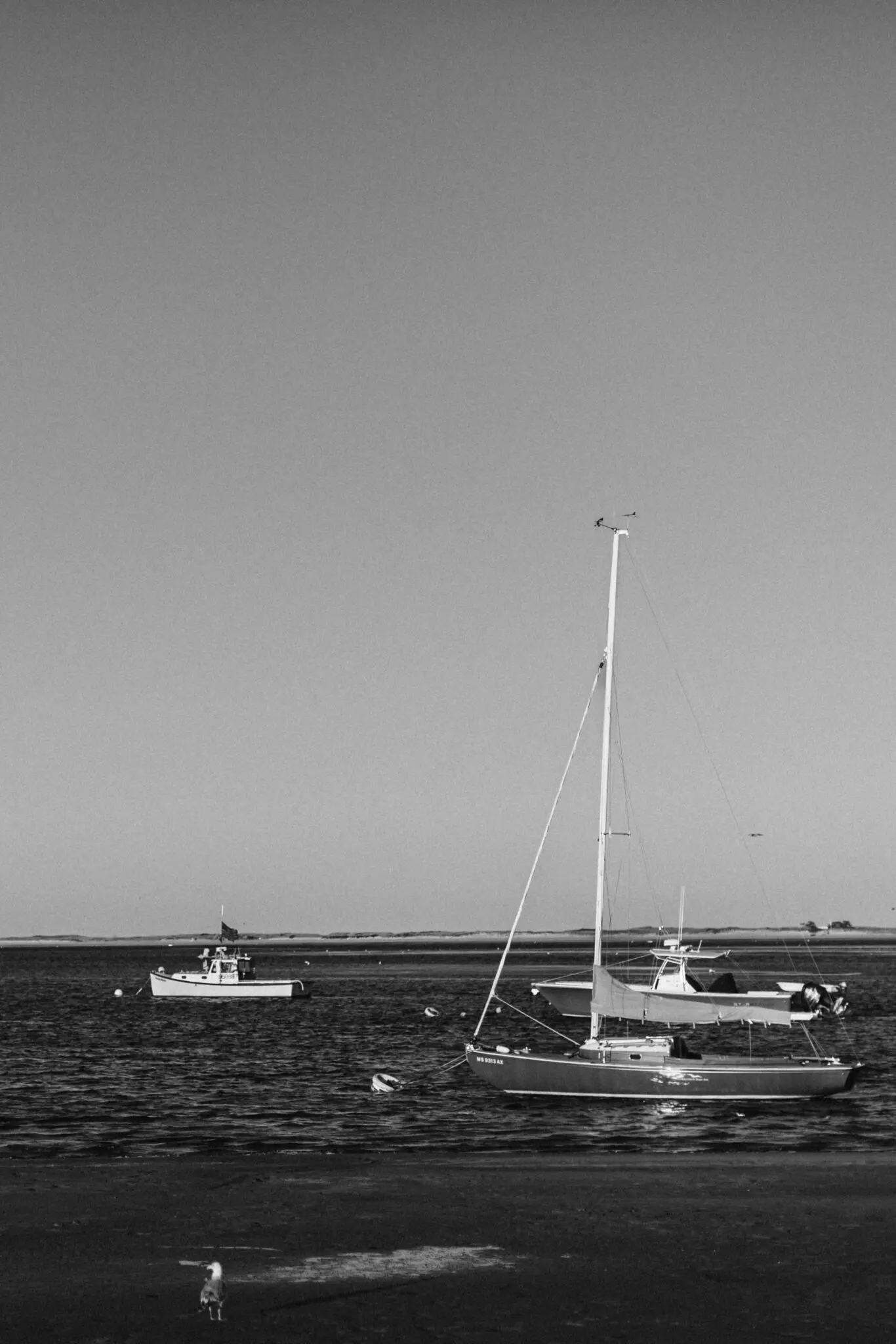 Kelly & Timothy Chatham Bars Inn Cape Cod Wedding 69 Kelly Dillon Wedding Photographer KellyDillonPhotographyChathamBarsInnWeddingPhotographyCapeCodWeddingPhotographerCapeCodWeddingPhotography73 scaled