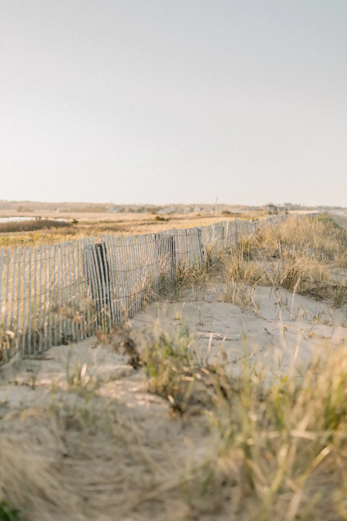 Kelly Dillon Wedding Photographer KellyDillonPhotographyDuxburyBeachEngagementPhotographyCapeCodWeddingPhotographerCapeCodWeddingPhotography26 scaled