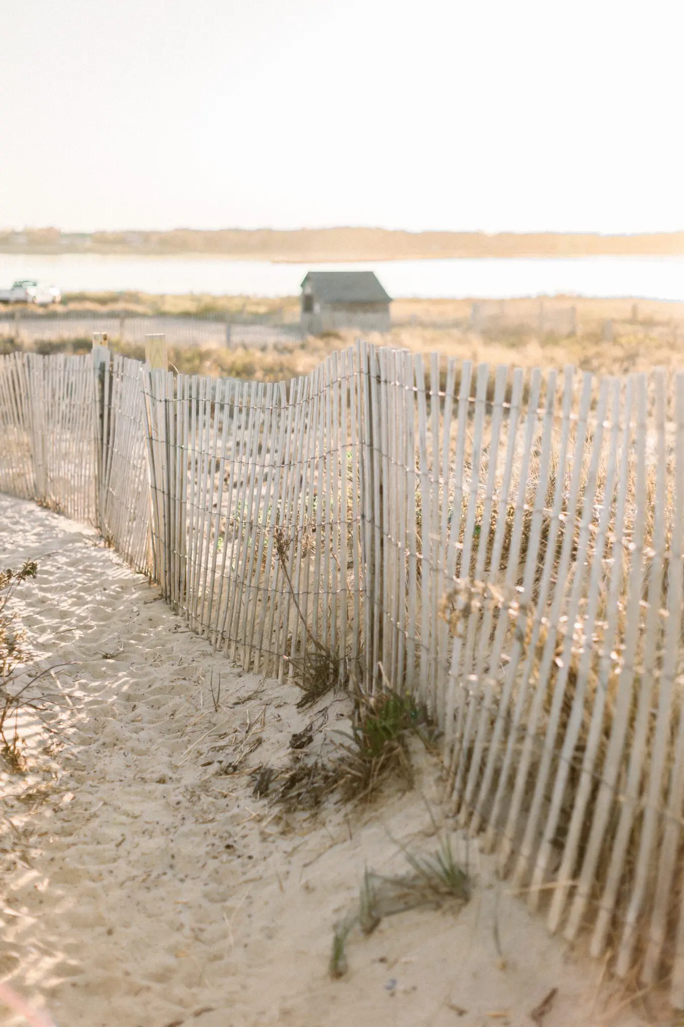 Kelly Dillon Wedding Photographer KellyDillonPhotographyDuxburyBeachEngagementPhotographyCapeCodWeddingPhotographerCapeCodWeddingPhotography39 scaled