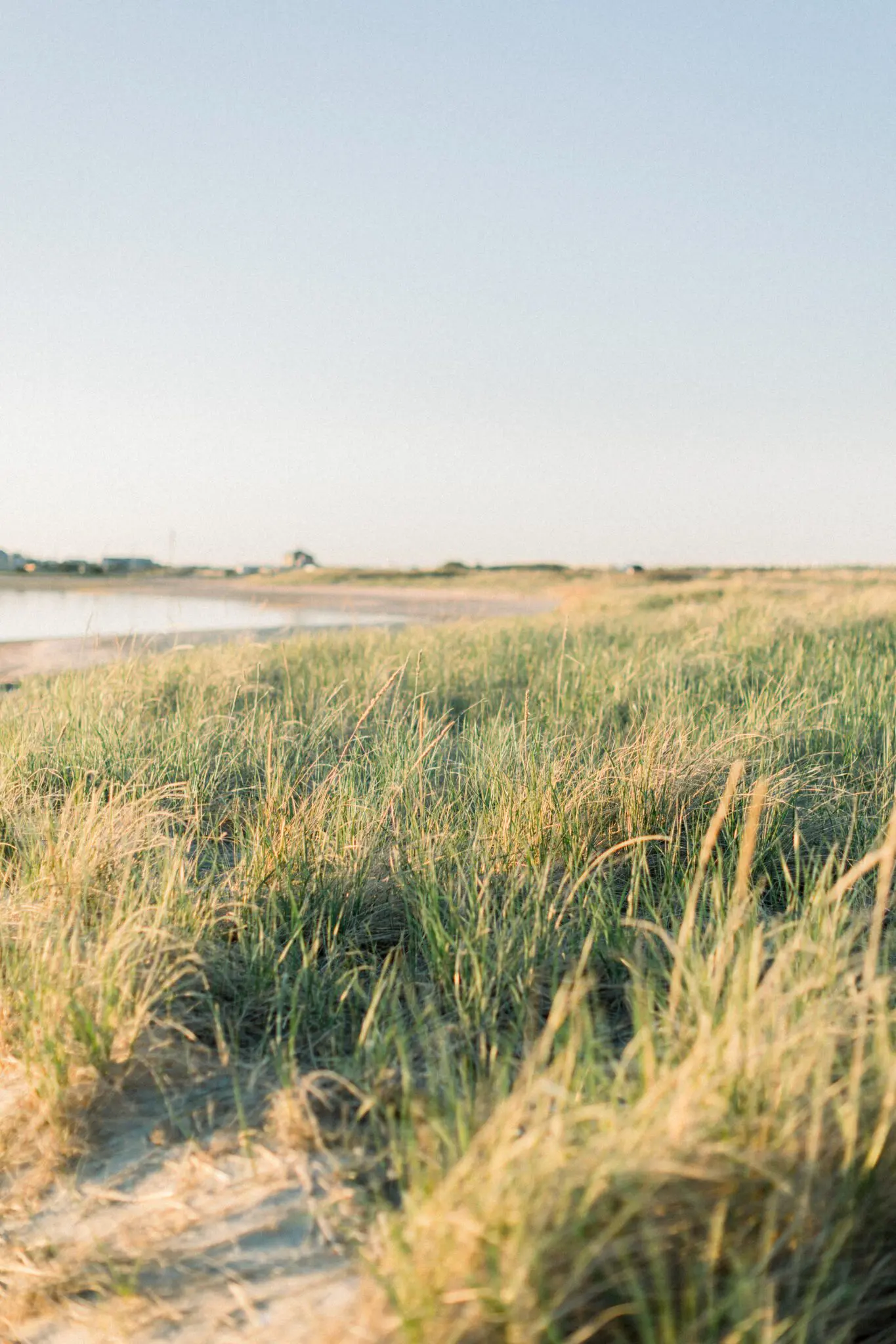 Kelly Dillon Wedding Photographer KellyDillonPhotographyDuxburyBeachEngagementPhotographyCapeCodWeddingPhotographerCapeCodWeddingPhotography41 scaled