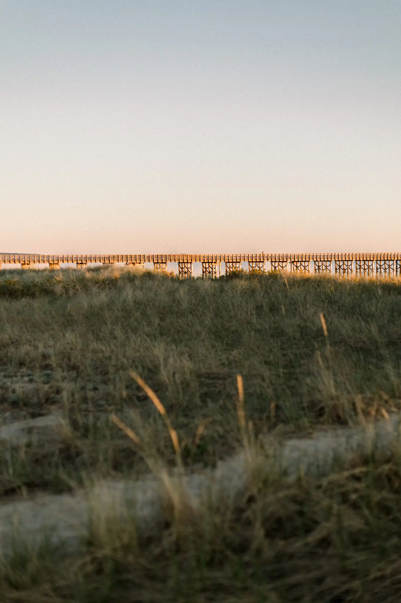 Kelly Dillon Wedding Photographer KellyDillonPhotographyDuxburyBeachEngagementPhotographyCapeCodWeddingPhotographerCapeCodWeddingPhotography48 scaled